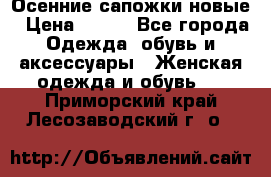 Осенние сапожки новые › Цена ­ 600 - Все города Одежда, обувь и аксессуары » Женская одежда и обувь   . Приморский край,Лесозаводский г. о. 